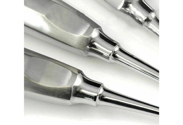 5Pcs Straight Dental Surgery Elevator Set - Image 3