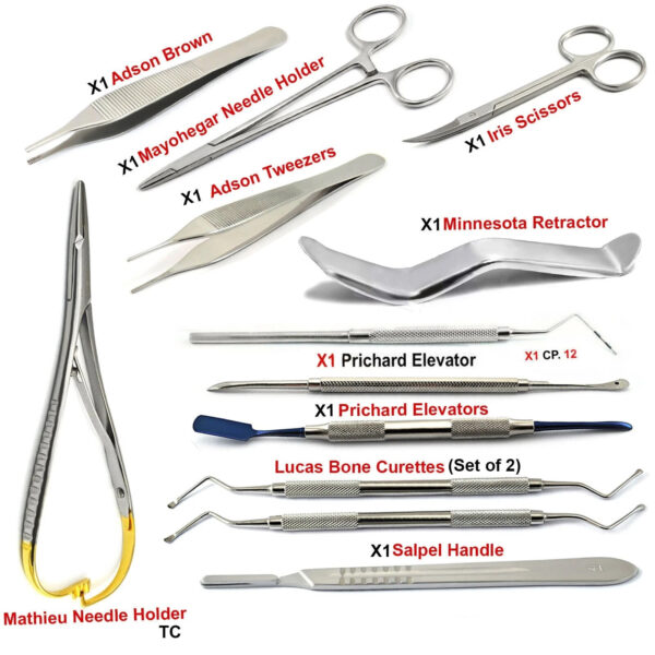Premium Perio Instrument Kit with Lucas Curette & BP Handle